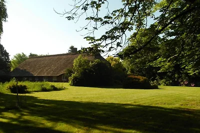 Landhaustraum unter Reet