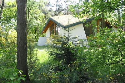 Casa vacanze ecologica immersa nella natura, ...