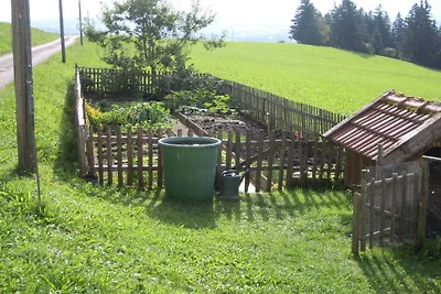 Bergblick - Bergbauernhof Echtler