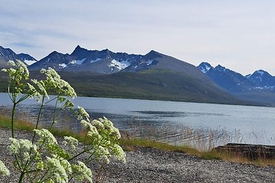 6 persoons vakantie huis in Svensby