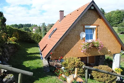 Ferienhaus in der Nähe von Skipisten