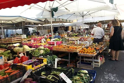 Kuća za odmor Dopust za oporavak Cipressa