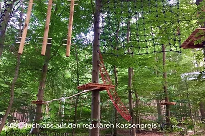 Ferienhaus in Sögel mit Barbecue