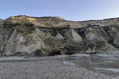 12 Personen Ferienhaus in Løkken-By Traum