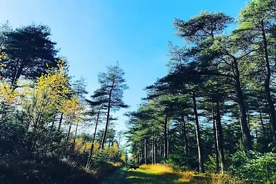 10 Personen Ferienhaus in Fjerritslev-By...