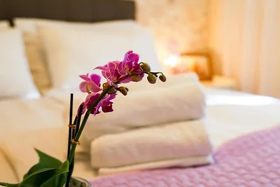 Franov Butique Residence - One bedroom apartm...