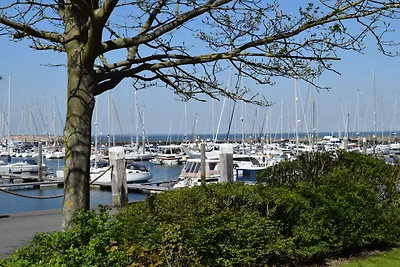 Ferienhaus Kamperland am Strand & Marina