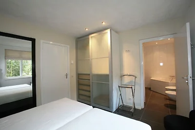 Designhaus mit Kamin bei Bedafse Bergen
