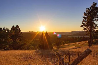 Ferienhaus in Willingen nahe Skipisten