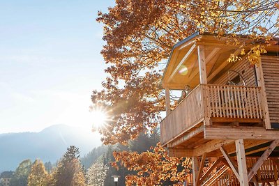 Luxus-Chalet mit Geschirrspüler in Umgebung