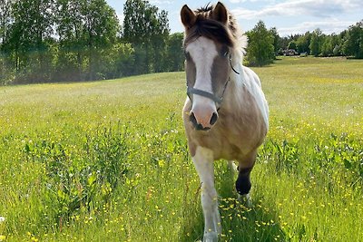 8 Personen Ferienhaus in BRÅLANDA