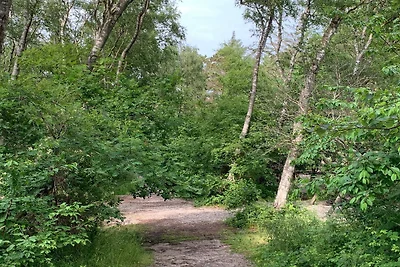 5 Sterne Ferienhaus in Liseleje