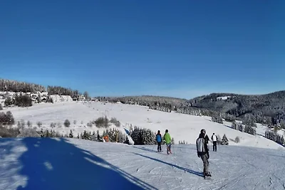 Moderne Wohnung in Winterberg