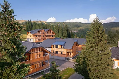 Wohnung in Oberwölz nahe Skipiste