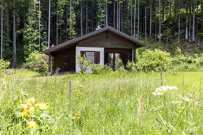 Vakantiehuis in Ferlach nabij Woerthersee