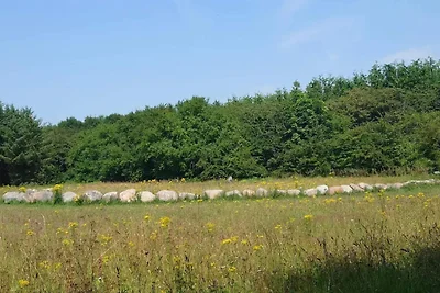 10 persoons vakantie huis in Dragør-By Traum