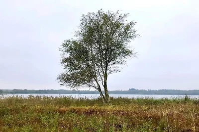 5 Personen Ferienhaus in Ansager-By Traum