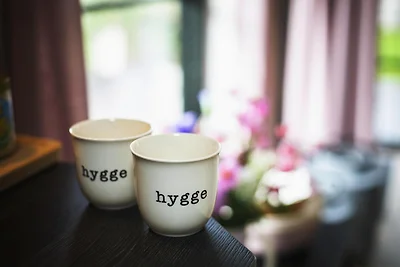 Ferienhaus Hygge am Dümmer See in Dümmer