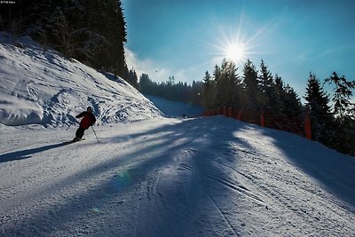 Villa auf einem Hof in Skigebietnähe in...