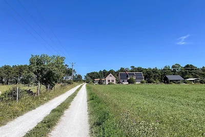 4 Sterne Ferienhaus in Fårö