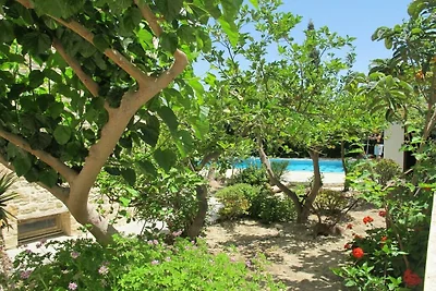Ferienhaus in Pitsidia mit Schwimmbecken