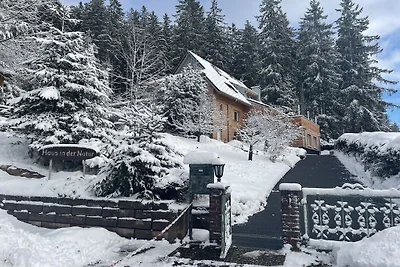 Dom w naturze - widok na Feldberg