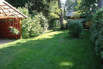 Sonnenschein in Nassenheide