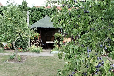 Ferienwohnung Sommerglück in Proseken
