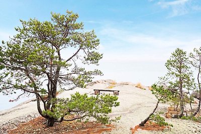 6 Personen Ferienhaus in BLIDÖ