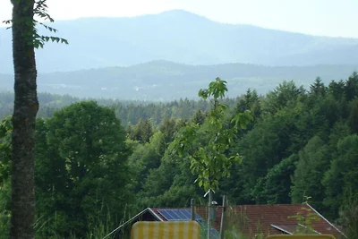 Ferienwohnung in Neuschönau mit Barbecue