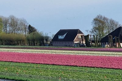 Landleben Komfortable Ferienresidenz