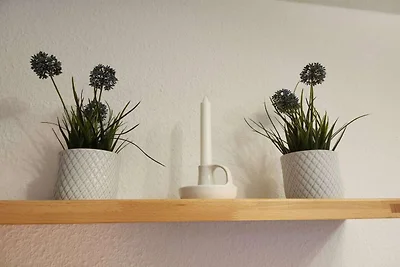 Meeresrauschen Komfortable Ferienresidenz