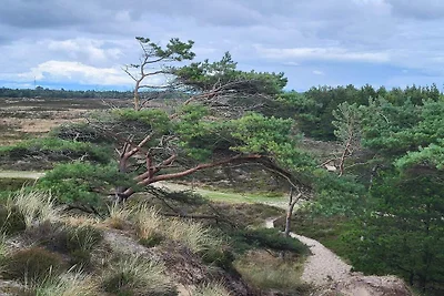 6 Personen Ferienhaus in Rømø-By Traum