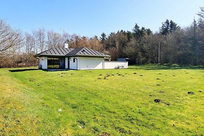 6 Personen Ferienhaus in Vesløs-By Traum