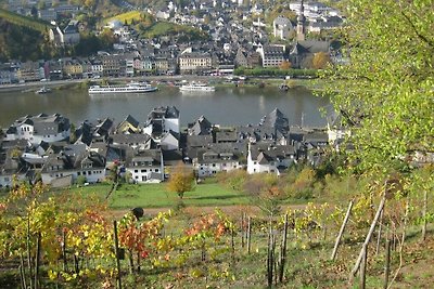 Ferienhaus in Cochem mit Schwimmbecken