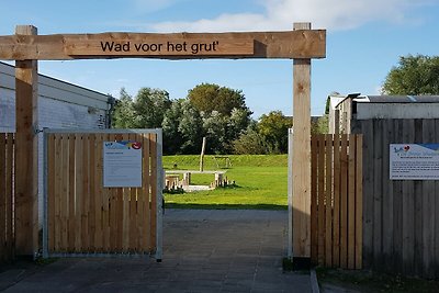 Gezellig chalet met 2 badkamers in Tzummarum