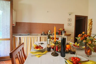 Ferienhaus in Apecchio mit Swimmingpool