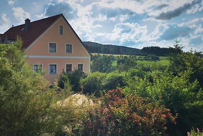Geräumige Ferienwohnung mit Sauna in Schönsee