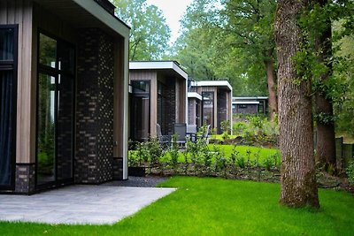 Modernes Ferienhaus in der Nähe von Veluwe