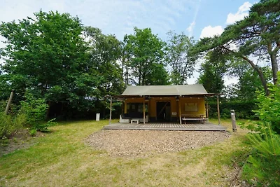 Ferienhaus in Otterlo mit Terrasse