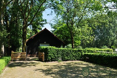 Schönes Ferienhaus in Leende mit überdachter...