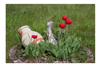 Marienberg auf dem Bauernhof Sockhof