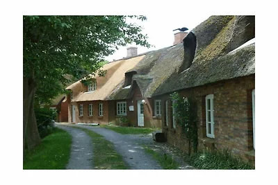 Ferienhaus in Pellworm mit Schwimmbecken