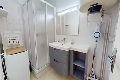 Der blaue Delphin mit Blick auf das Meer