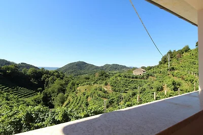 Bella casa vacanze a Miane con terrazza