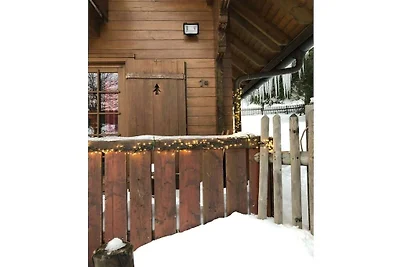 Ferienhaus in Feldberg mit Schwimmbecken