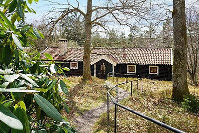 4 Sterne Ferienhaus in LERUM