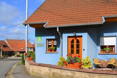 Affascinante casa per le vacanze a Hinsbourg