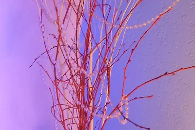 Residenz Les Embruns f�r vier Personen