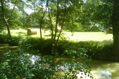 Ecolodge in Frankreich mit Waldidylle